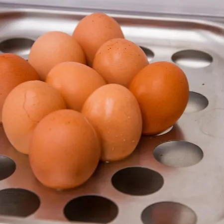 Nelson 3* リッチョーネ