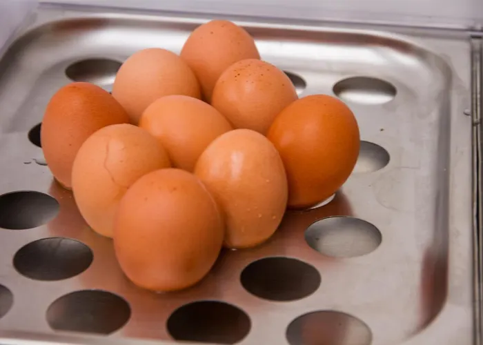 Nelson 3* 리치오네